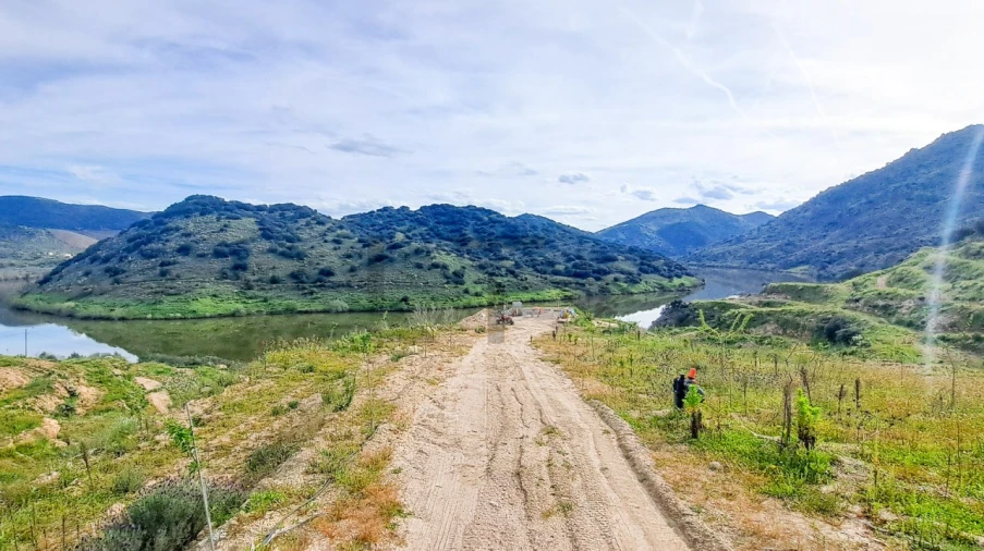 Quinta T30 para Venda em Lousa Foto 30