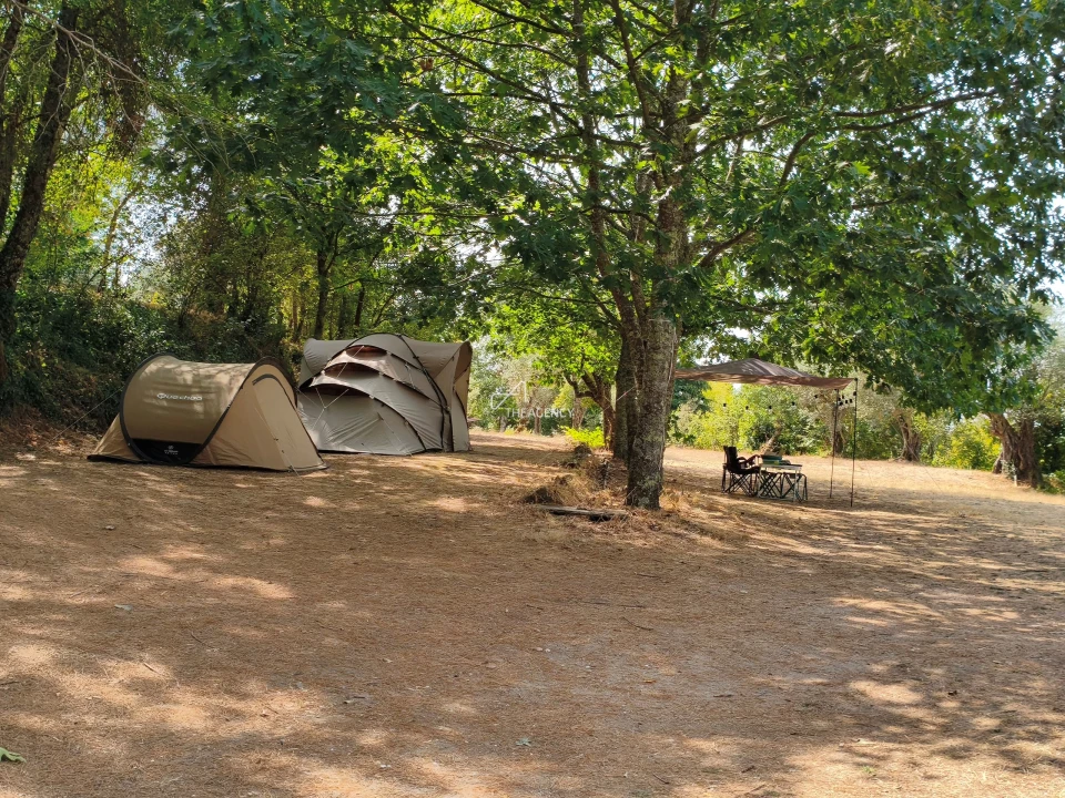 Quinta T12 para Venda em Melo e Nabais Foto 99