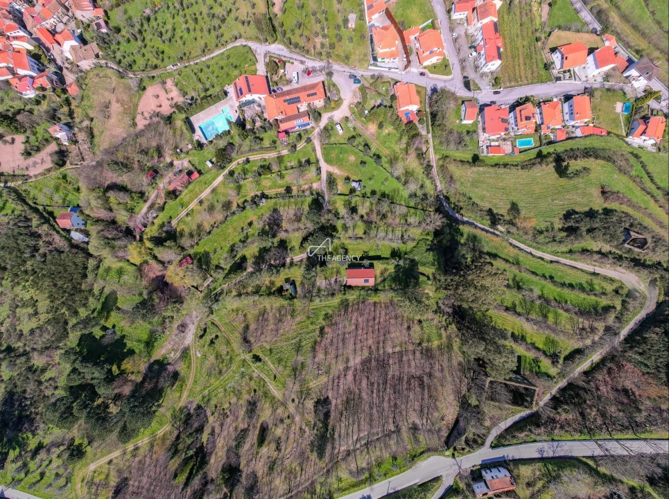 Quinta T12 para Venda em Melo e Nabais Foto 4