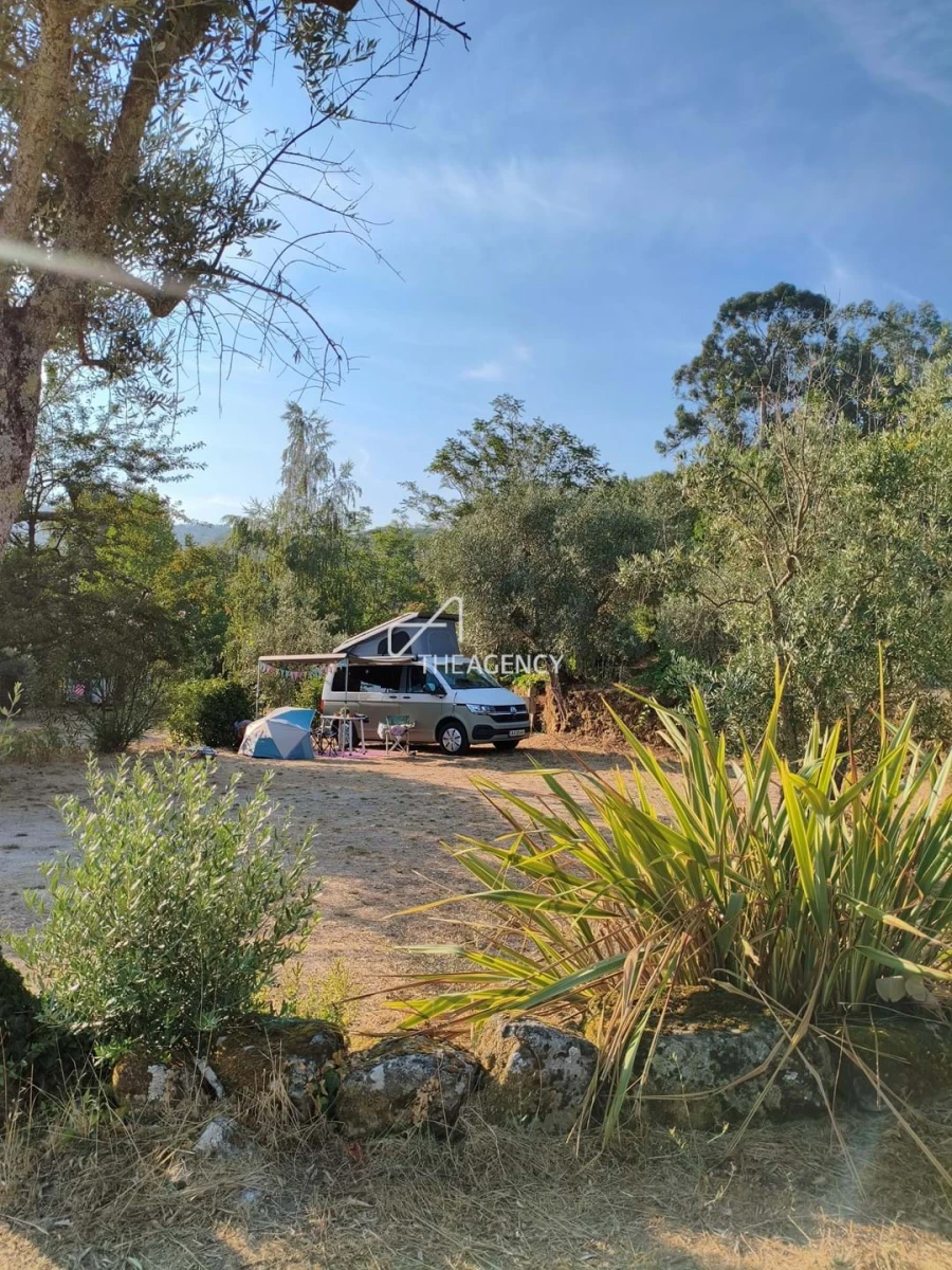 Quinta T12 para Venda em Melo e Nabais Foto 101