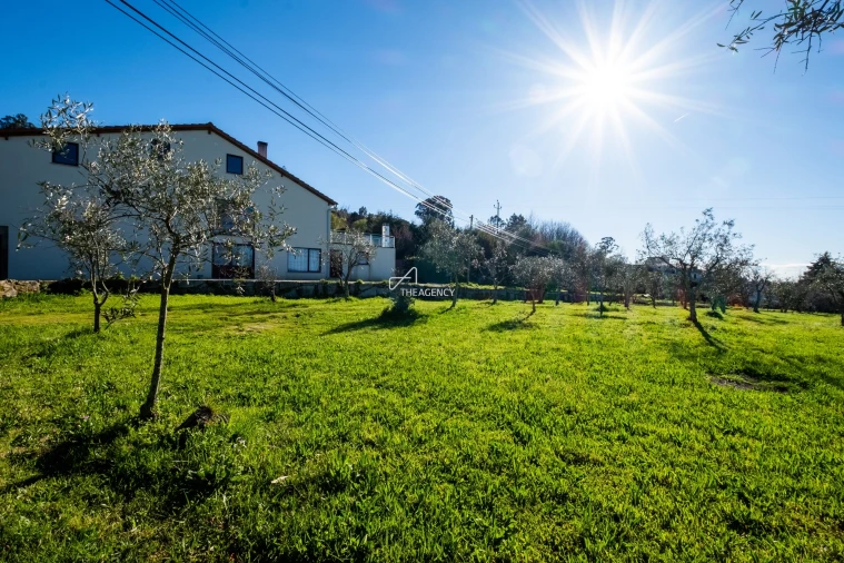 Quinta T12 para Venda em Melo e Nabais Foto 30