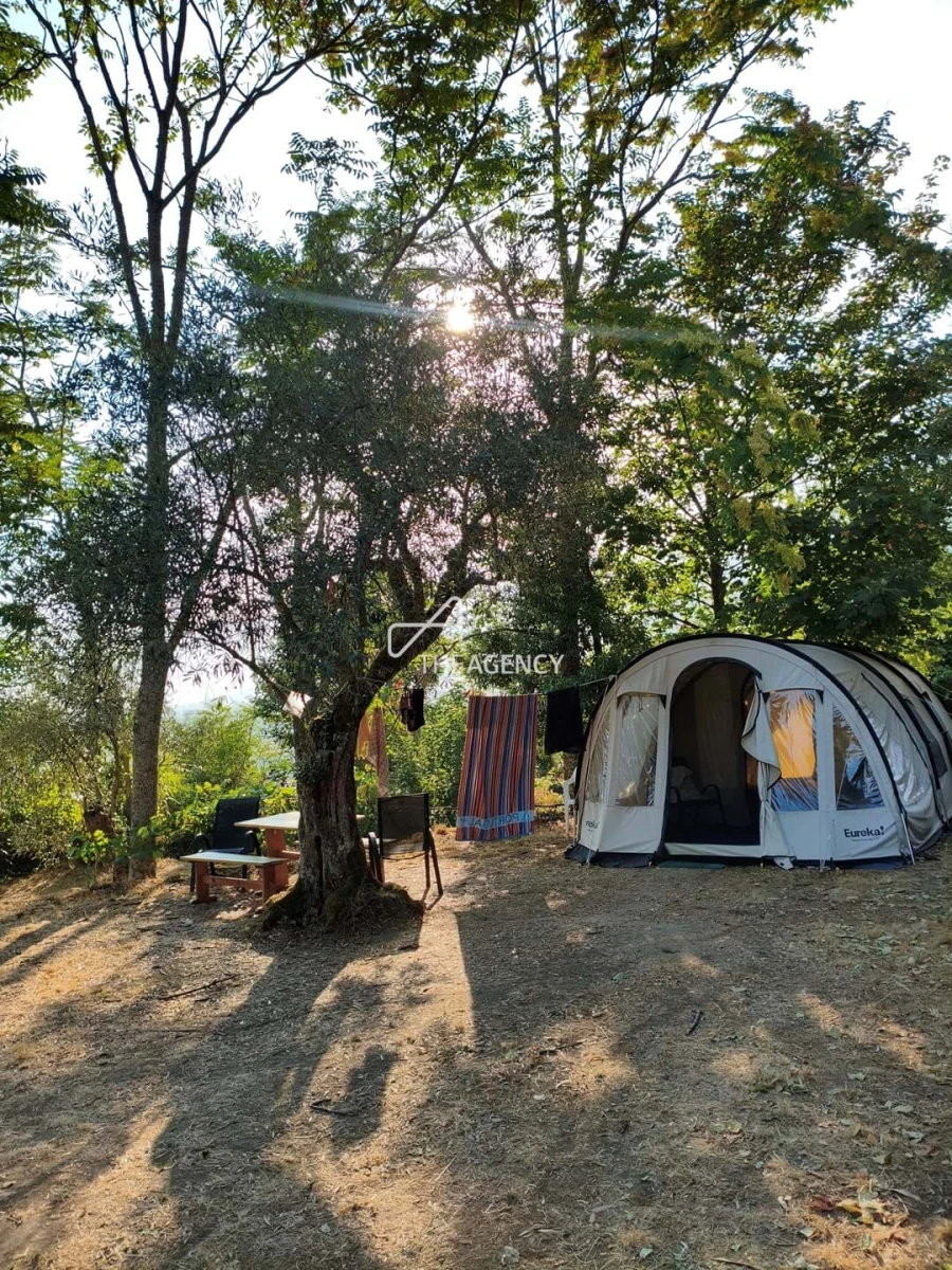 Quinta T12 para Venda em Melo e Nabais Foto 102