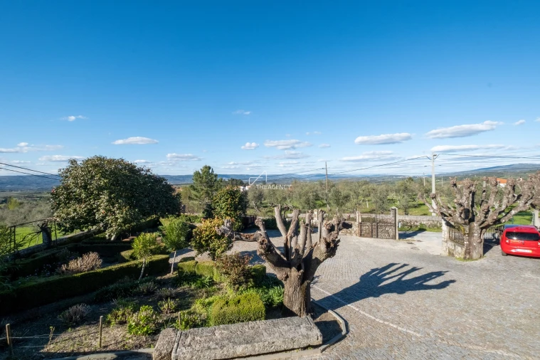 Quinta T12 para Venda em Melo e Nabais Foto 31