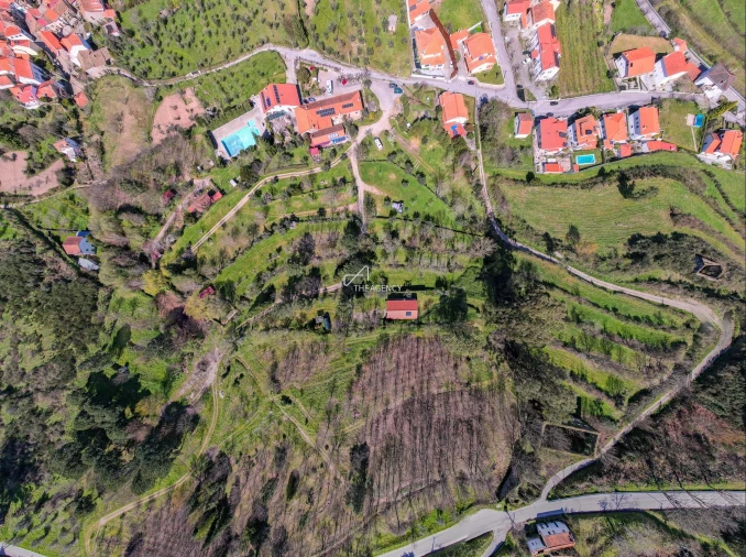 Quinta T12 para Venda em Melo e Nabais Foto 4