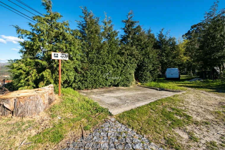 Quinta T12 para Venda em Melo e Nabais Foto 43