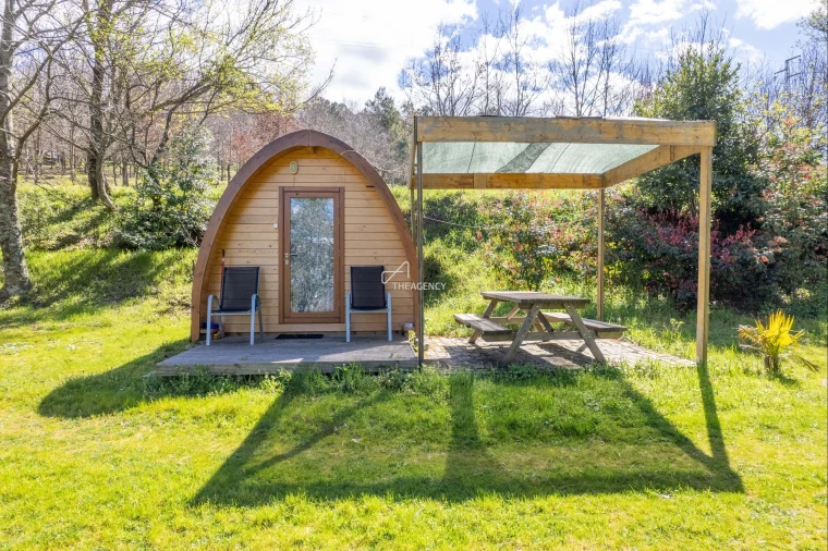 Quinta T12 para Venda em Melo e Nabais Foto 12