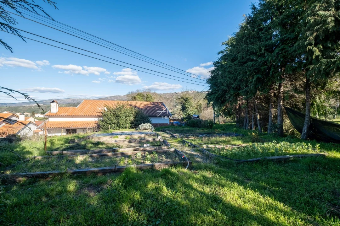 Quinta T12 para Venda em Melo e Nabais Foto 44