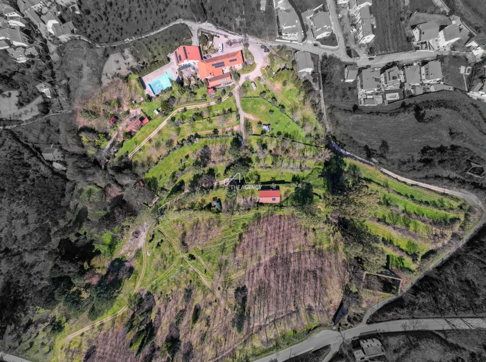 Quinta T12 para Venda em Melo e Nabais Foto 5