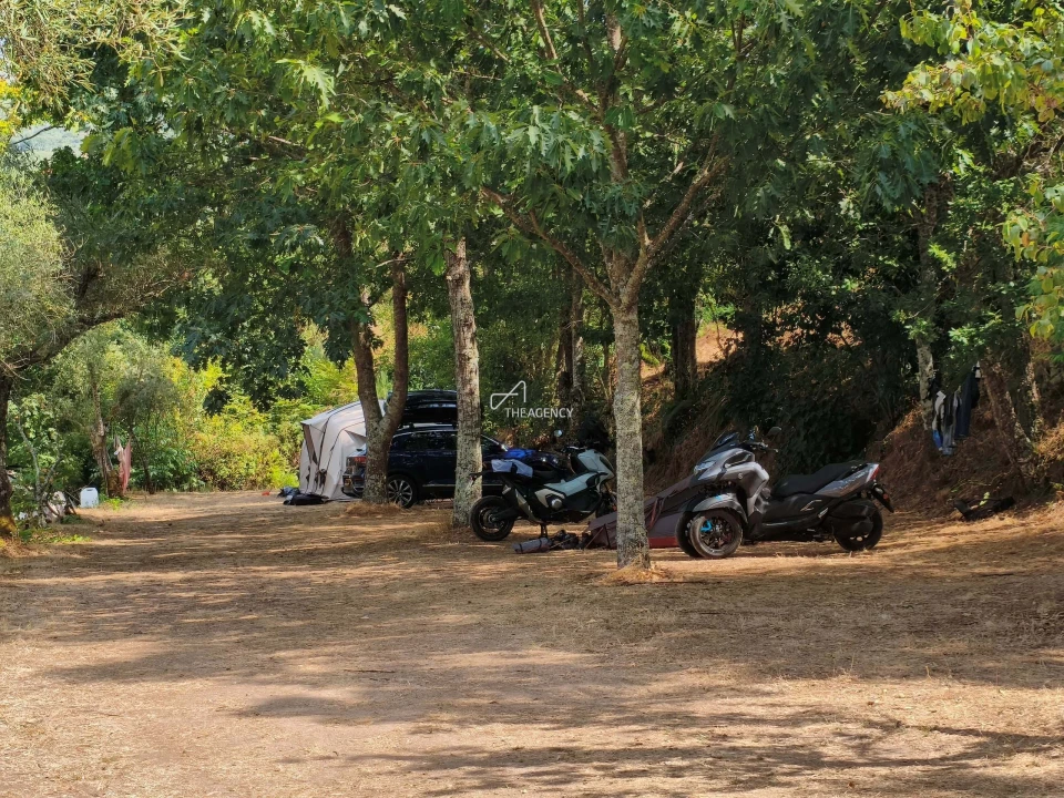 Quinta T12 para Venda em Melo e Nabais Foto 98