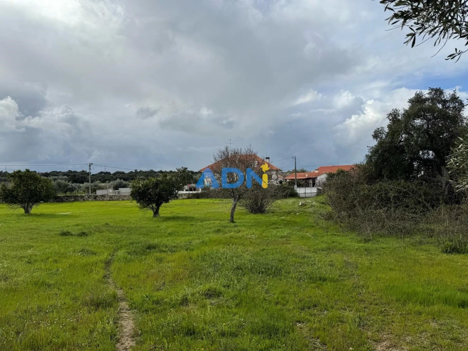 Terreno para Venda em Castelo Branco Foto 14