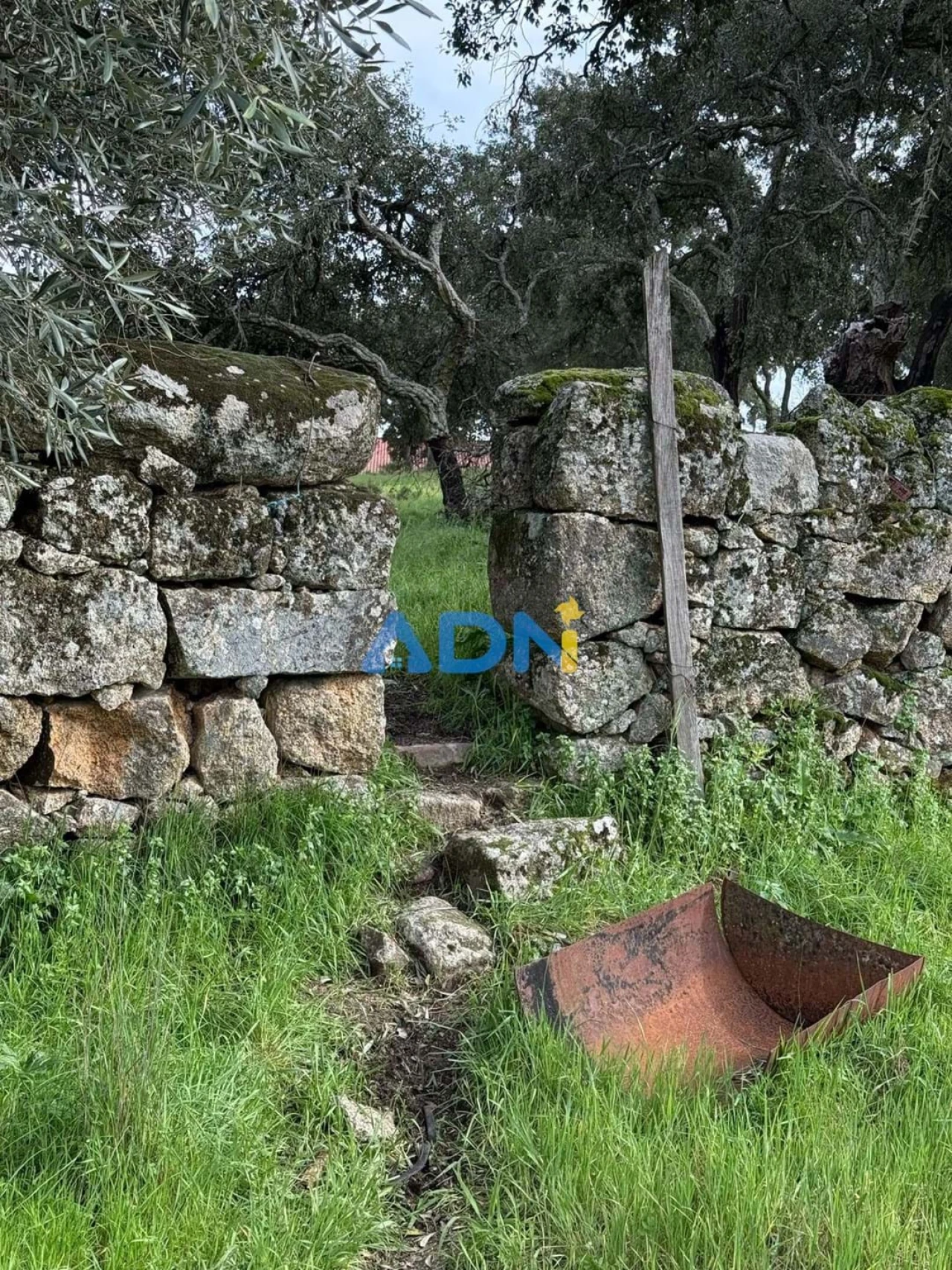 Terreno para Venda em Castelo Branco Foto 19