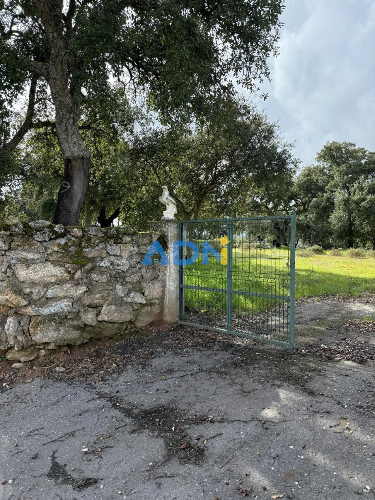 Terreno para Venda em Castelo Branco Foto 21