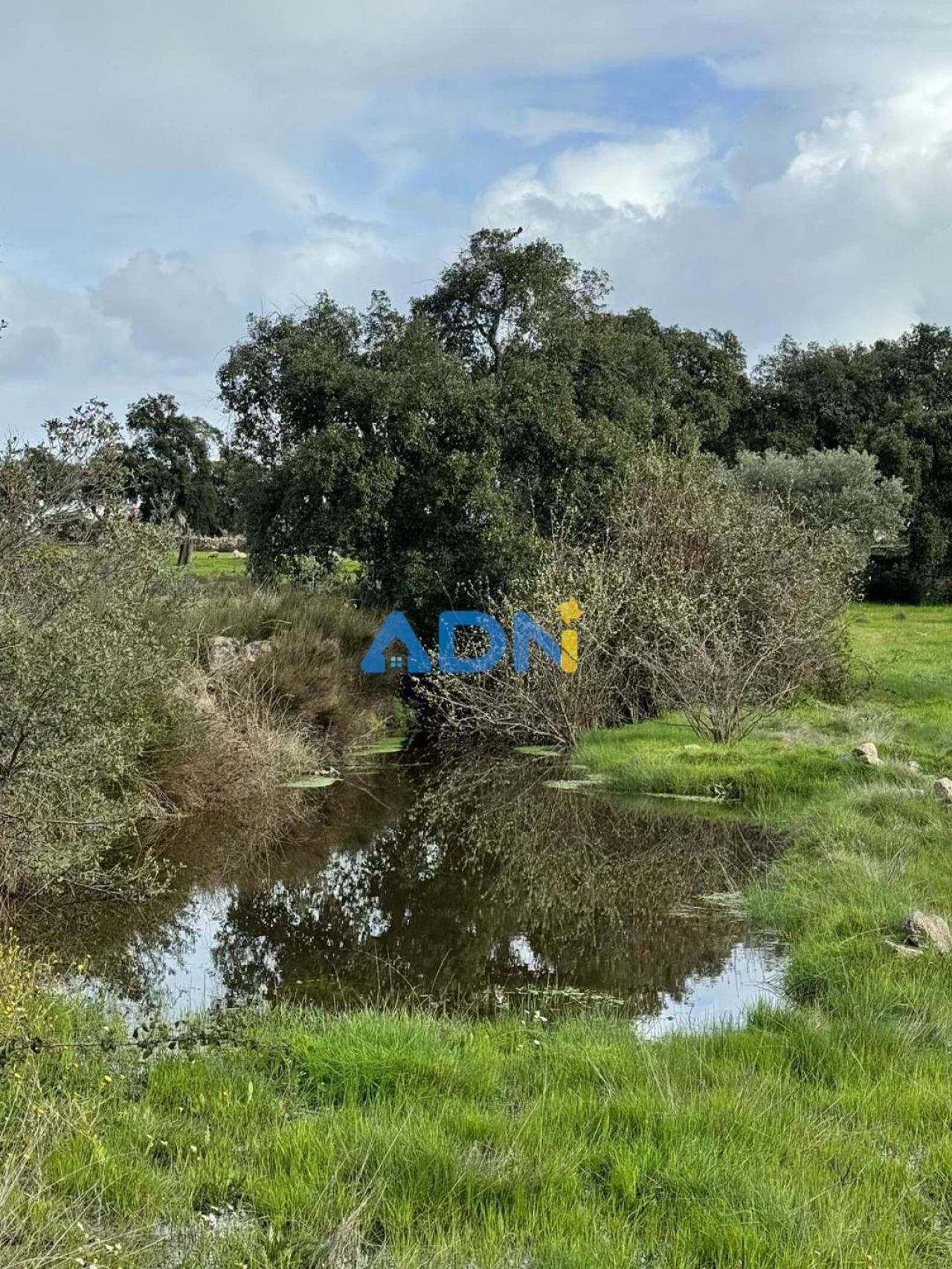 Terreno para Venda em Castelo Branco Foto 17