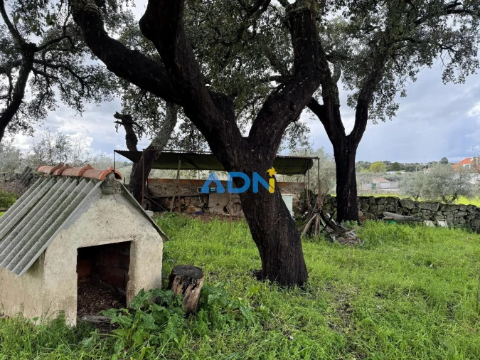 Terreno para Venda em Castelo Branco Foto 8