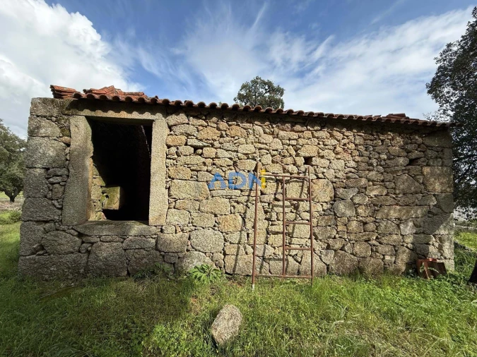 Terreno para Venda em Castelo Branco Foto 4