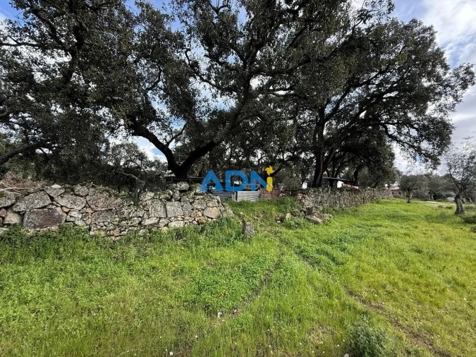 Terreno para Venda em Castelo Branco Foto 18