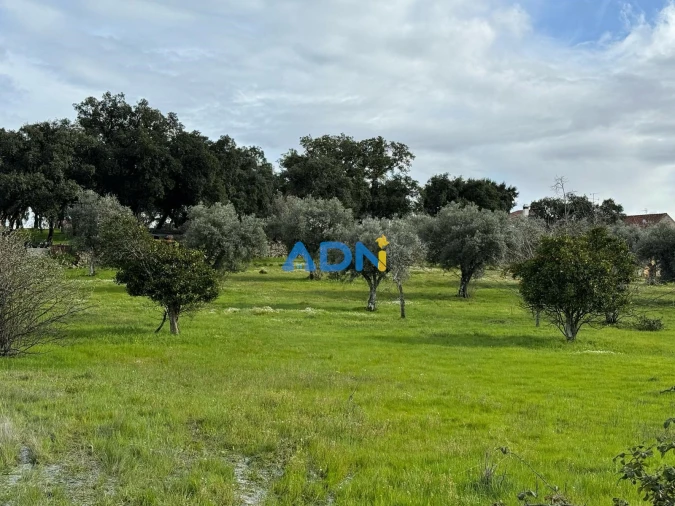 Terreno para Venda em Castelo Branco Foto 13