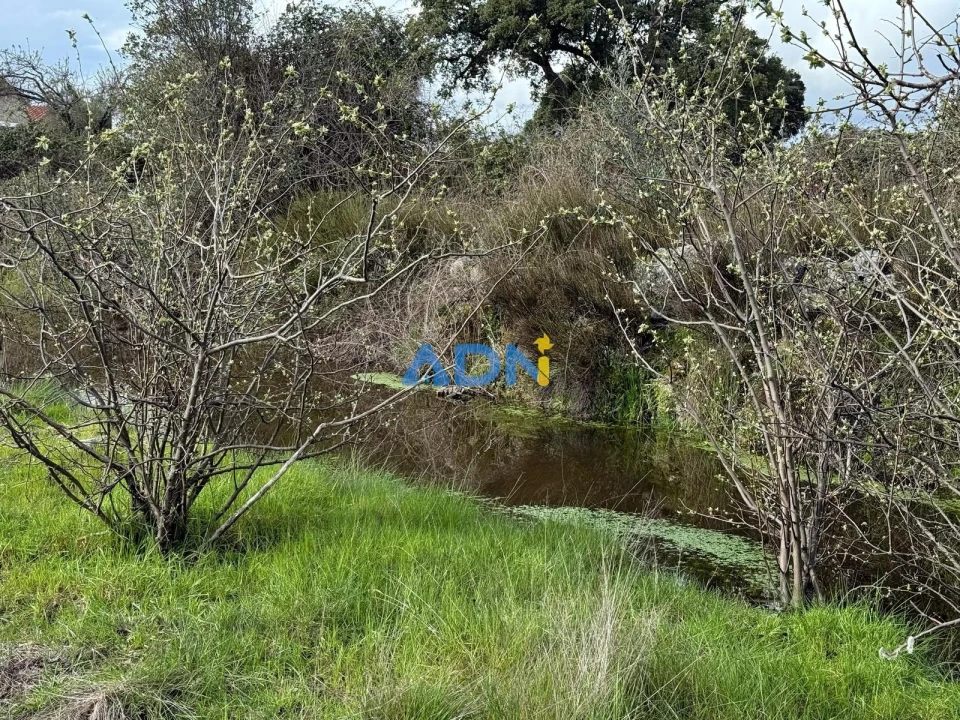 Terreno para Venda em Castelo Branco Foto 15