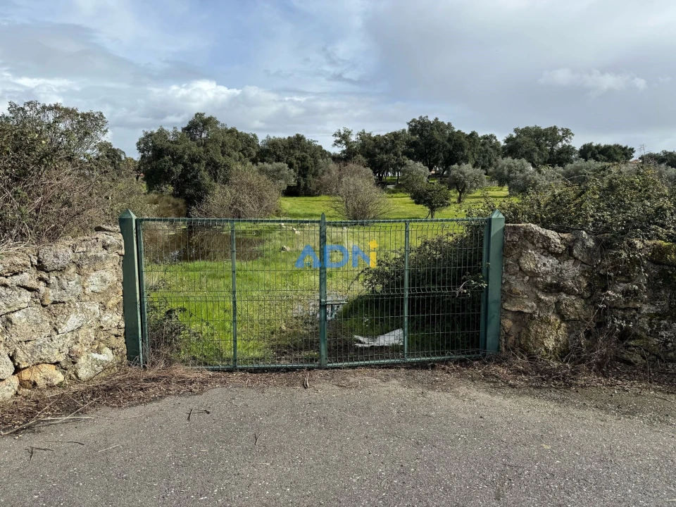 Terreno para Venda em Castelo Branco Foto 23