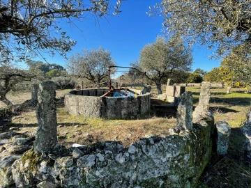 Quinta para Venda em Alcains