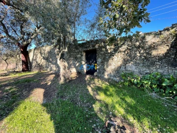 Quinta para Venda em Alcains