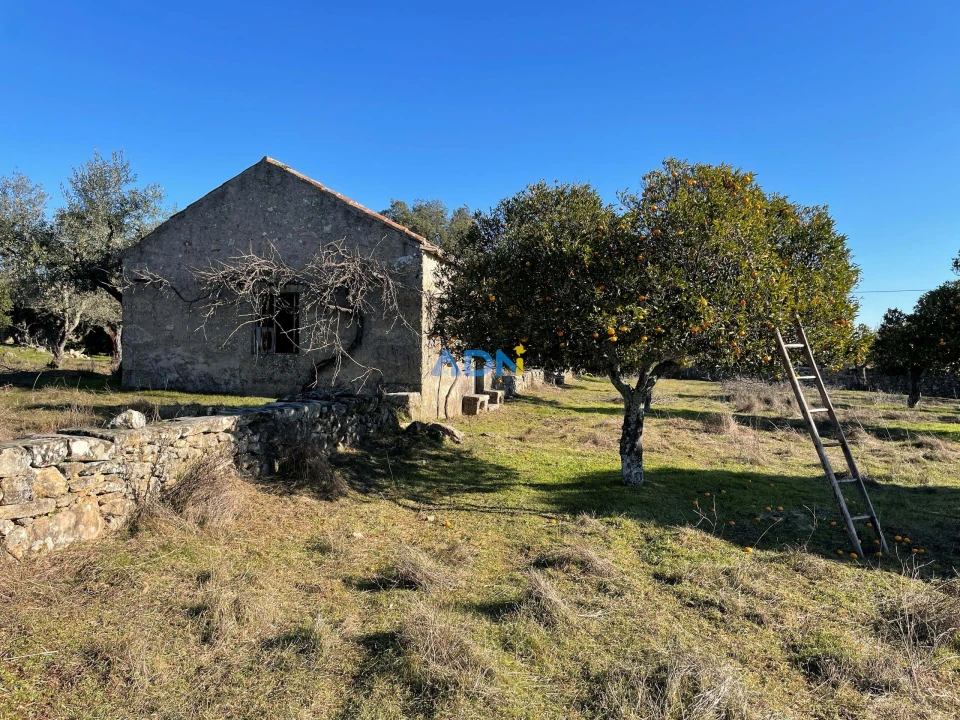 Quinta para Venda em Alcains Foto 1