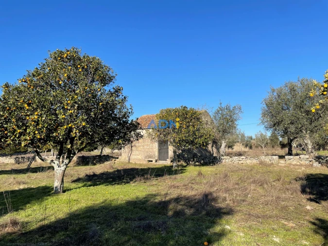 Quinta para Venda em Alcains Foto 10