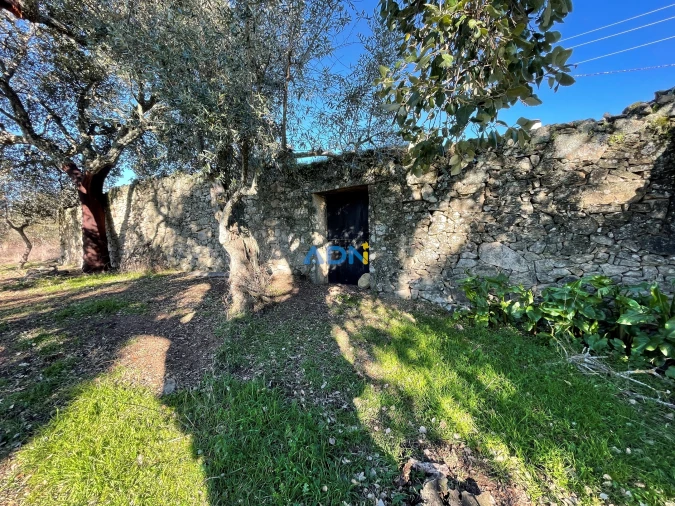 Quinta para Venda em Alcains Foto 7