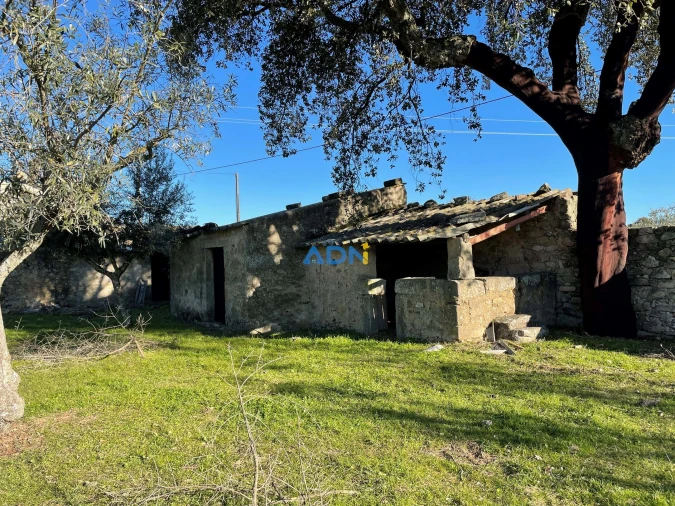 Quinta para Venda em Alcains Foto 3