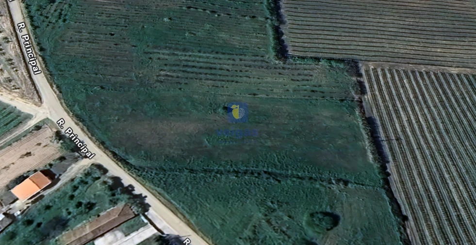 Terreno para Venda em Carvalhal Foto 5