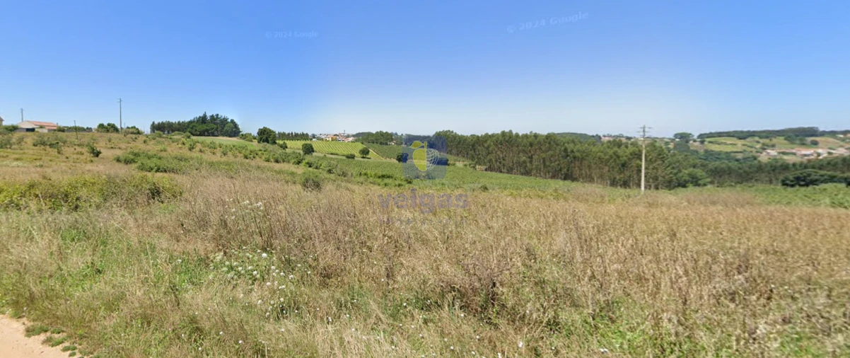 Terreno para Venda em Carvalhal Foto 6