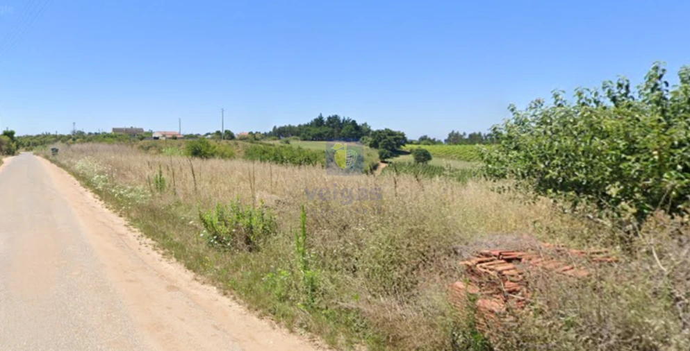 Terreno para Venda em Carvalhal Foto 7
