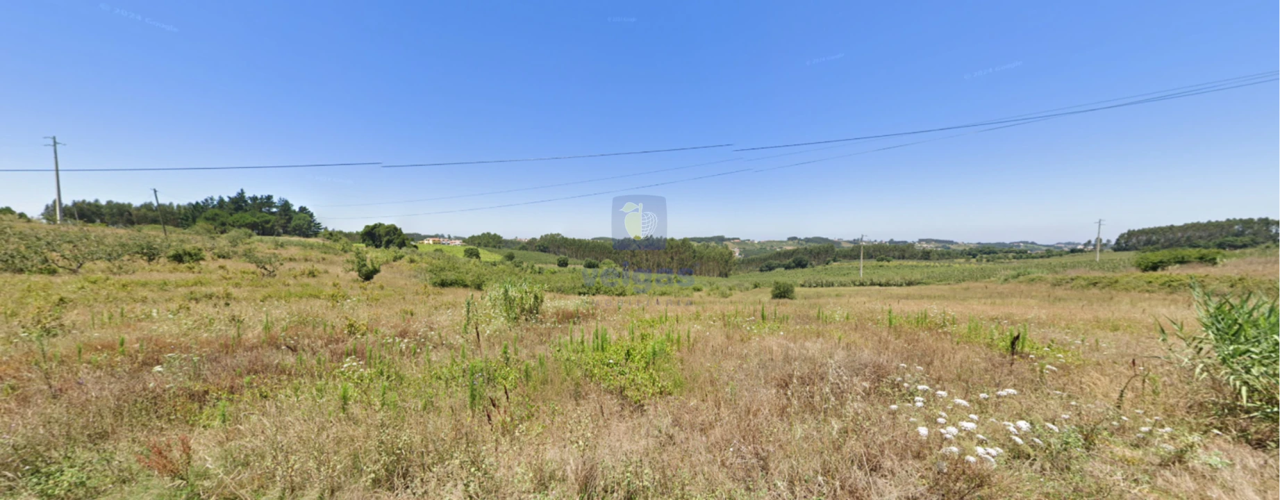 Terreno para Venda em Carvalhal Foto 9