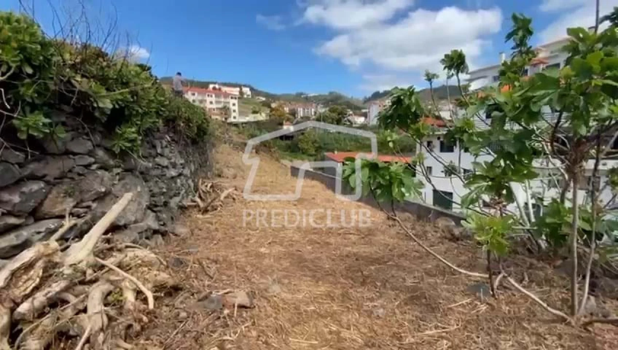 Terreno para Venda em Caniço Foto 8