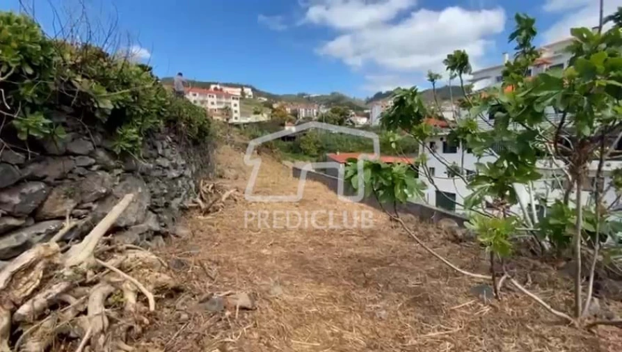 Terreno para Venda em Caniço Foto 8