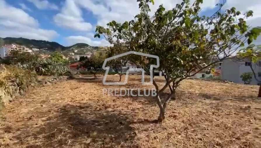 Terreno para Venda em Caniço Foto 4