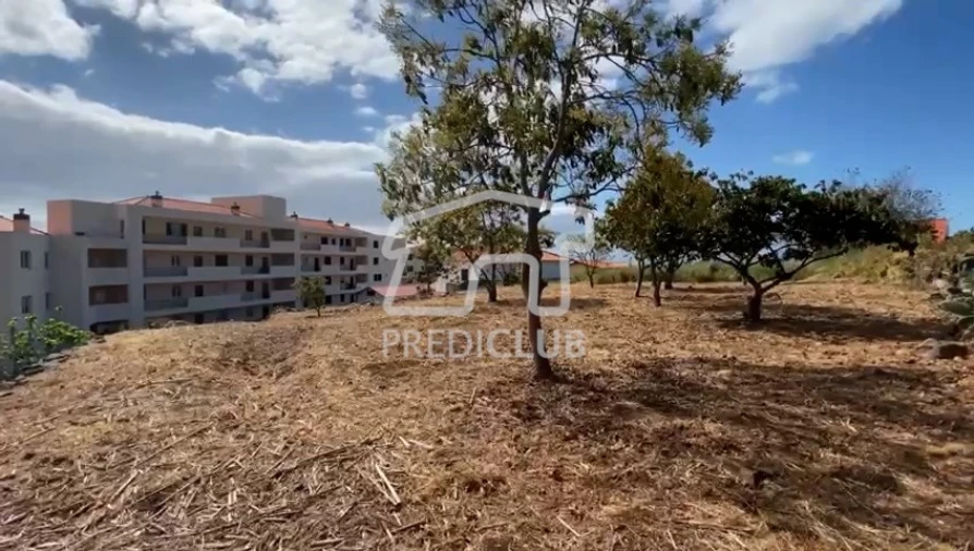 Terreno para Venda em Caniço Foto 6