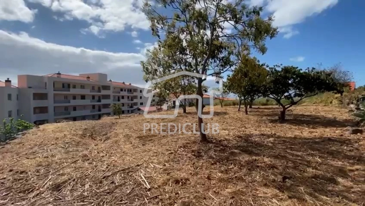 Terreno para Venda em Caniço Foto 6