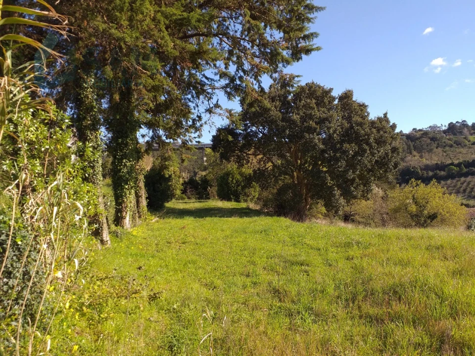 Moradia T6 para Venda em Santa Maria, São Pedro e Sobral da Lagoa Foto 40