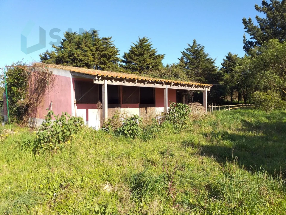 Moradia T6 para Venda em Santa Maria, São Pedro e Sobral da Lagoa Foto 54