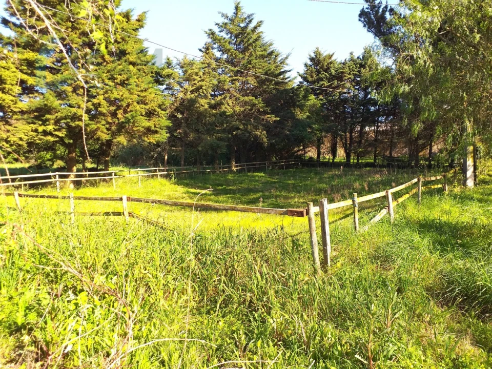 Moradia T6 para Venda em Santa Maria, São Pedro e Sobral da Lagoa Foto 57