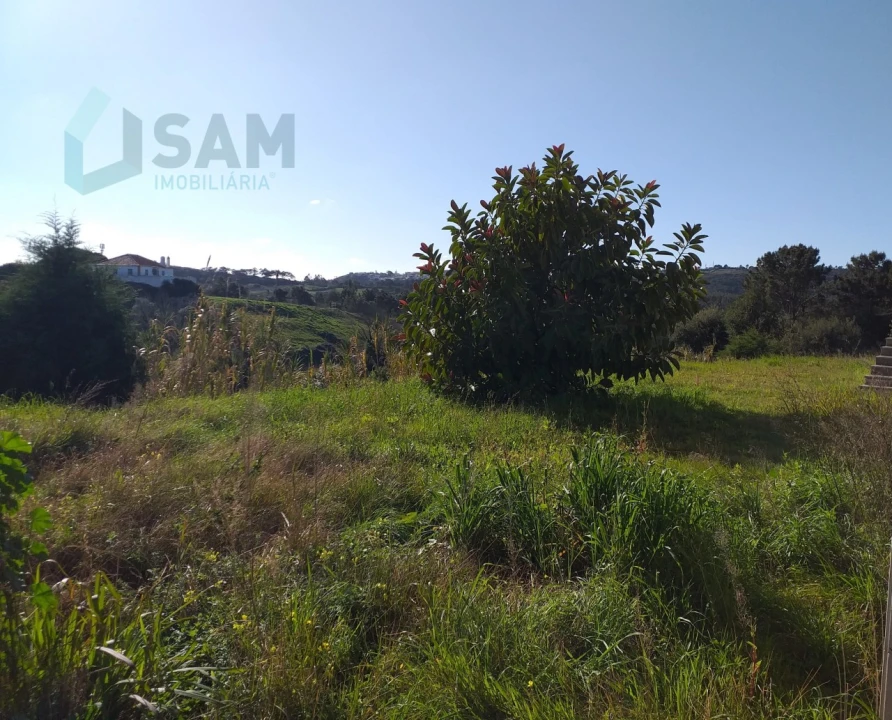 Moradia T6 para Venda em Santa Maria, São Pedro e Sobral da Lagoa Foto 62