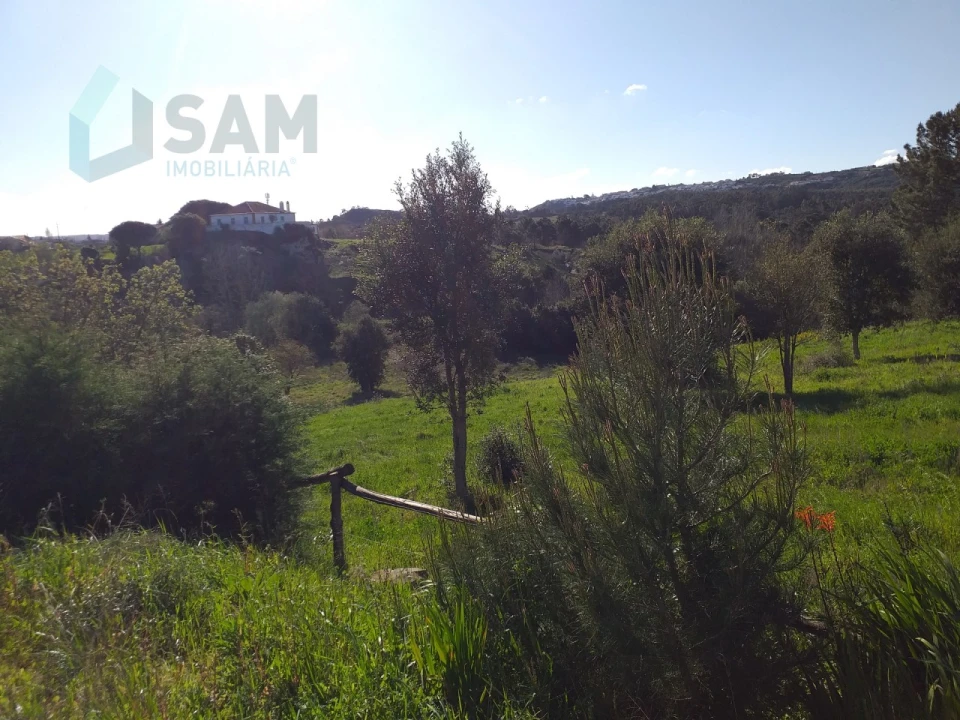 Moradia T6 para Venda em Santa Maria, São Pedro e Sobral da Lagoa Foto 65