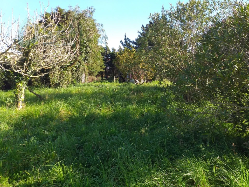 Moradia T6 para Venda em Santa Maria, São Pedro e Sobral da Lagoa Foto 66