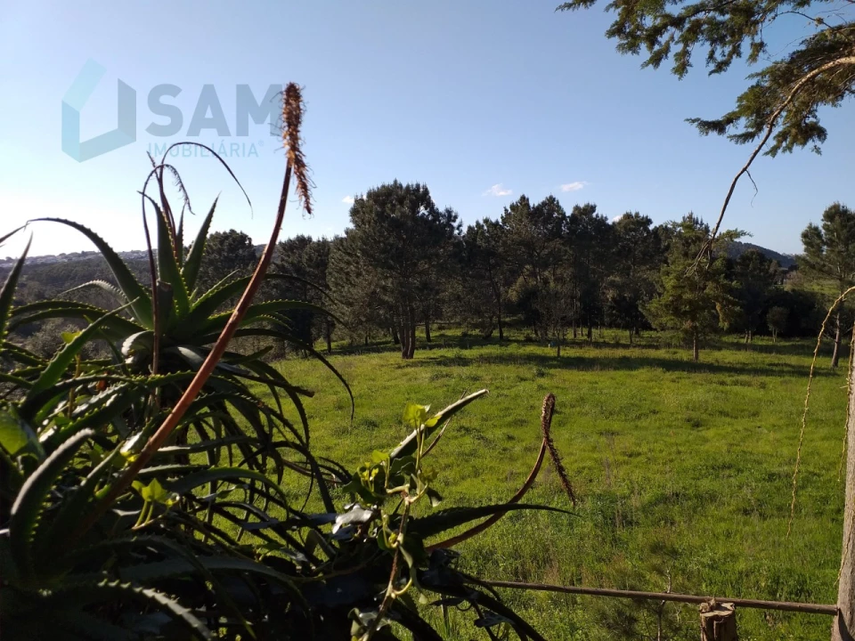 Moradia T6 para Venda em Santa Maria, São Pedro e Sobral da Lagoa Foto 68