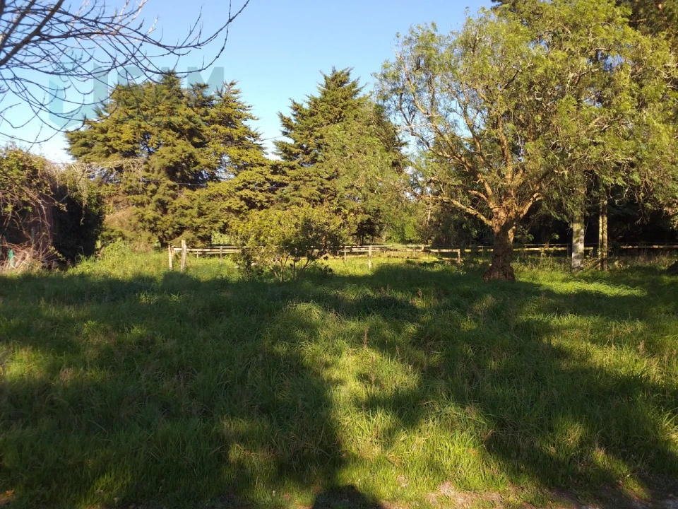 Moradia T6 para Venda em Santa Maria, São Pedro e Sobral da Lagoa Foto 70