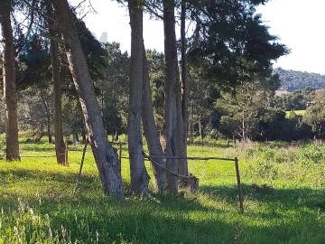 Moradia T6 para Venda em Santa Maria, São Pedro e Sobral da Lagoa