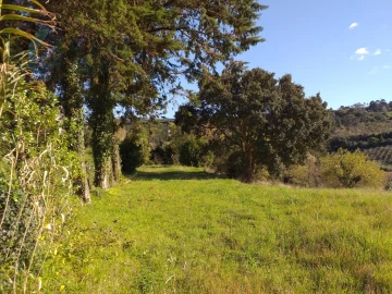 Moradia T6 para Venda em Santa Maria, São Pedro e Sobral da Lagoa