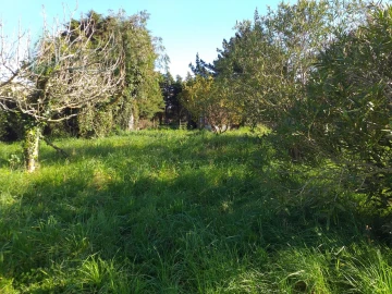 Moradia T6 para Venda em Santa Maria, São Pedro e Sobral da Lagoa
