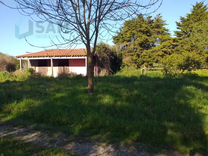 Moradia T6 para Venda em Santa Maria, São Pedro e Sobral da Lagoa Foto 55